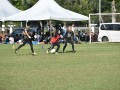 Tn dsc 0469